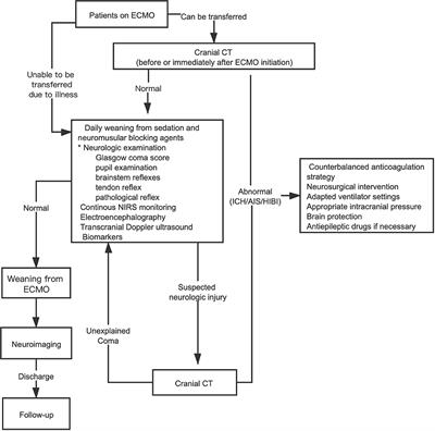 Narrative Review of Neurologic Complications in Adults on ECMO: Prevalence, Risks, Outcomes, and Prevention Strategies